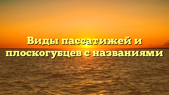 Виды пассатижей и плоскогубцев с названиями