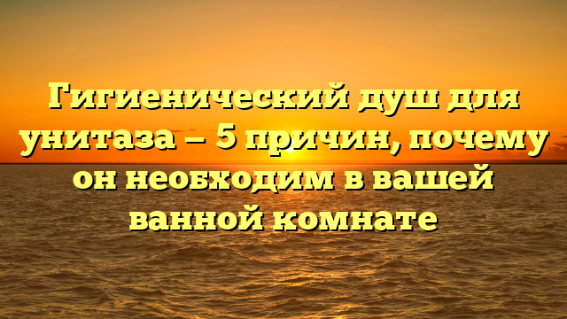 Гигиенический душ для унитаза — 5 причин, почему он необходим в вашей ванной комнате