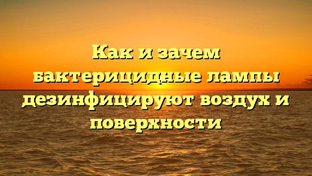 Как и зачем бактерицидные лампы дезинфицируют воздух и поверхности