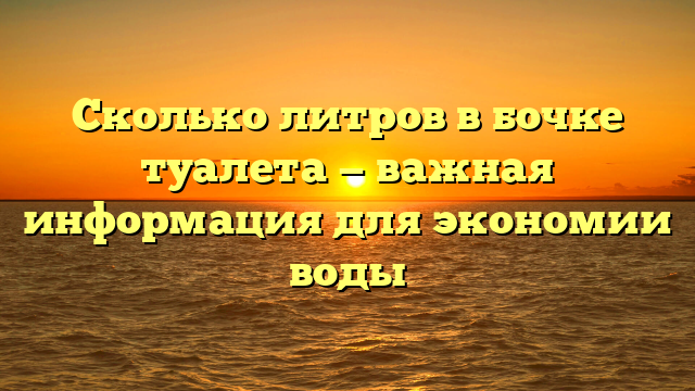 Сколько литров в бочке туалета — важная информация для экономии воды