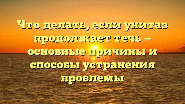 Что делать, если унитаз продолжает течь — основные причины и способы устранения проблемы